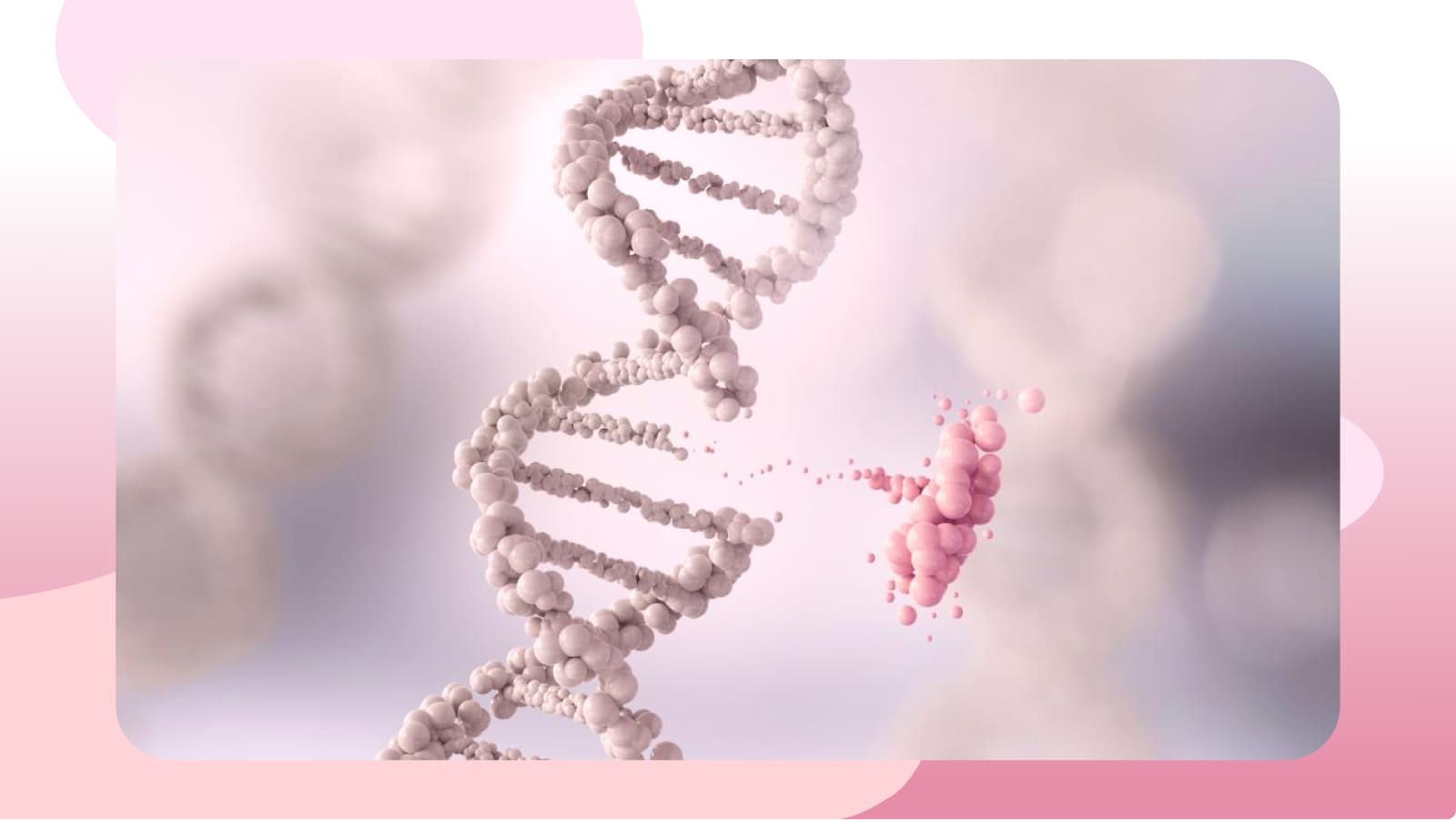 Breast Cancer and Genetics